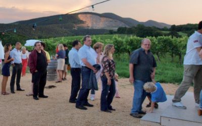 14. Wiener Weinwandertag – erstmals mit Mauer