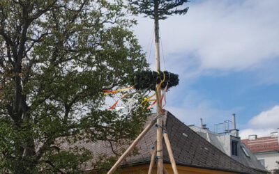 Das Maibaum-Fest