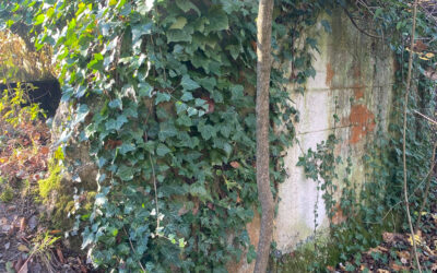 Geschichte im Maurer Wald