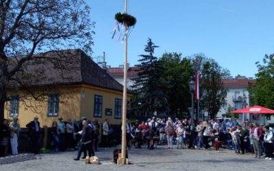 Maibaumfest am Hauptplatz